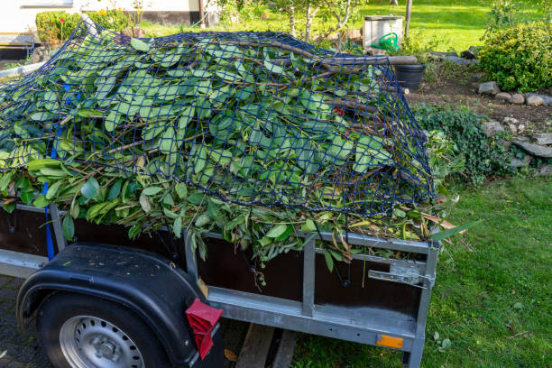 Best Carpet Removal and Disposal  in Brownsville, OR